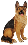 Dog Product