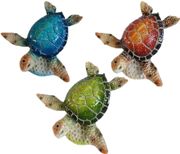 Turtle Product