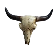 Animal Ornament