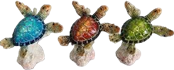 Turtle Product