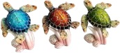 Turtle Product