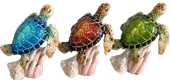 Turtle Product
