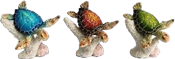 Turtle Product