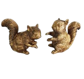 Squirrel Product
