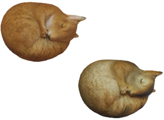 Squirrel Product