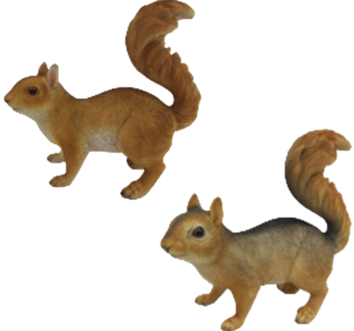 Squirrel Product