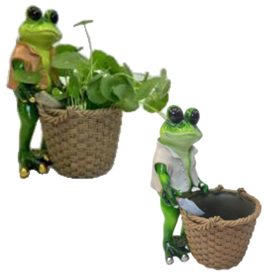 Frog Product