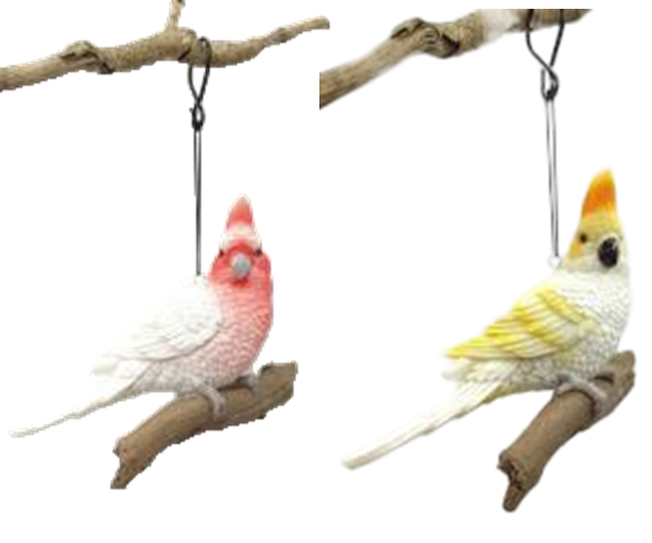 Bird Product