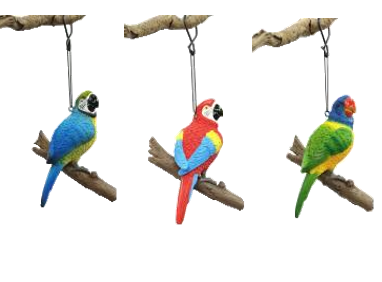 Bird Product