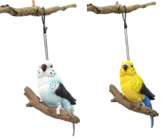 Bird Product