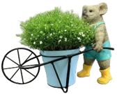Koala Product