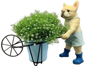 Dog Product