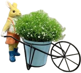 Rabbit Product