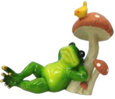 Frog Product