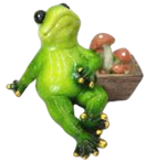 Frog Product