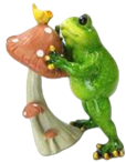 Frog Product