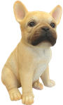 Dog Product