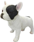 Dog Product