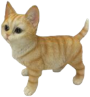 Cat Product