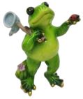 Frog Product