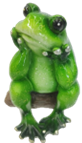 Frog Product