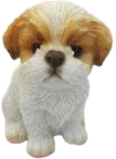 Dog Product