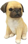 Dog Product