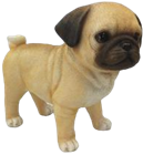Dog Product