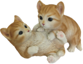 Cat Product