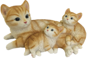 Cat Product