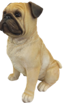 Dog Product