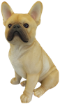 Dog Product