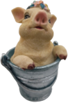 Pig Product