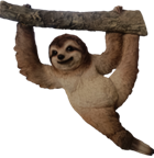 Sloth Product