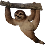 Sloth Product