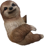 Sloth Product
