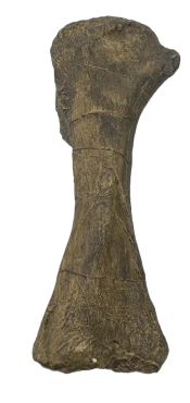 Dinosaur Product