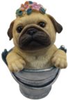 Dog Product
