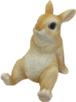 Rabbit Product