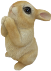 Rabbit Product