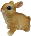 Rabbit Product