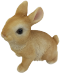 Rabbit Product