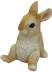 Rabbit Product