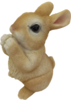 Rabbit Product