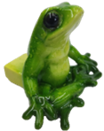Frog Product