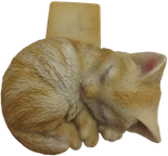 Cat Product