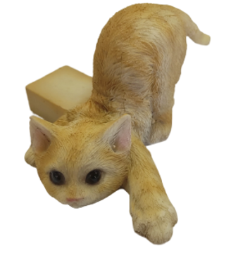 Cat Product