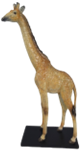 Giraffe Product