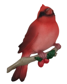 Bird Product