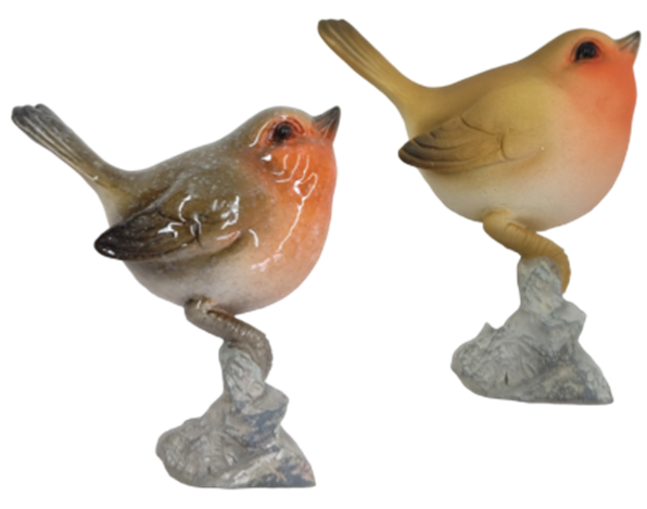 Bird Product